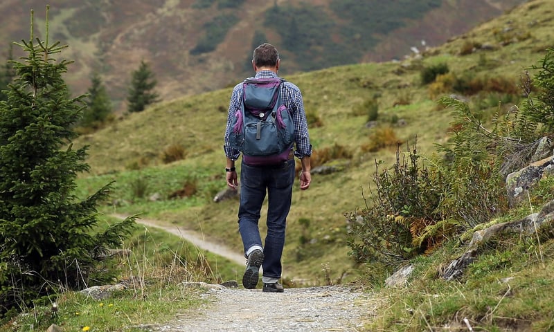 Hiking in Scenic Wilderness